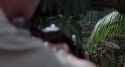 Clever girl_thumb.jpg