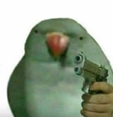 gunbird