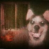 images (15)
