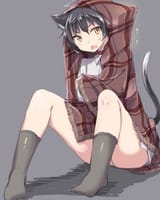 cccc
