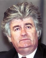 karadzic2