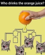 OJ