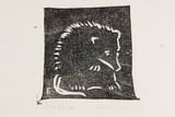 opossum chalk