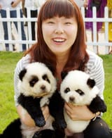 pandog