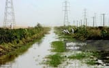to-go-with-story-by-guillaume-lavallee-sudanese-farmers-gather-at-one-of-the-canals-which-form-1462159889