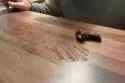 lush_thumb.jpg