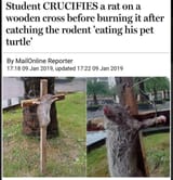 ncmdbo2bwkxa1