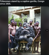 tribe