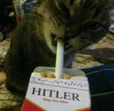 kitler