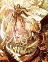 Harvestasha