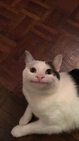 1742633511710971