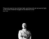 let them fight