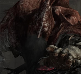 gael