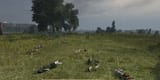 Aftermath