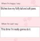 paw