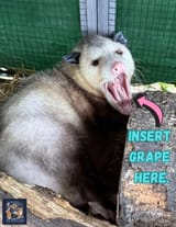 IMG_20250718_220833_259