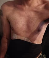 torso