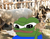 1667685845438904