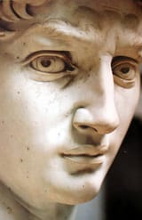 david