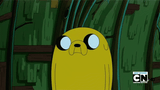 shrug-jakethedog