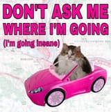 1735307424817434