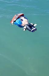 scawa swim