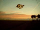 Ceiling cat iz oversee&#039;n your chemtrailz operation