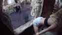 thot twerks for zoo chimp_thumb.jpg