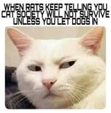 1711498532475194