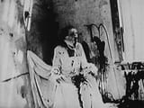 Begotten