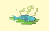 Smells-Fishy-2-1020x650