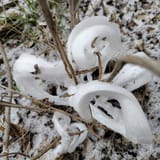 IMG_20240115_122818