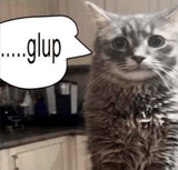 togif