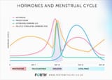hormonal profile of women
