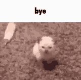 1704045793837089