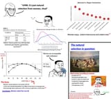 le sexual marketplace