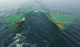 fish-net