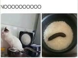 1737612918573767