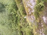 IMG_20250721_160231932
