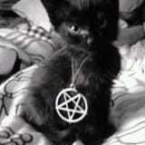 kittyy