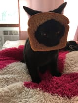 bread hat