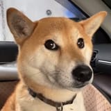 1000018794