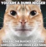 1753144098662684