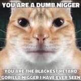 1753144098662684s (1)