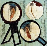 Shunga_-_Vulvae