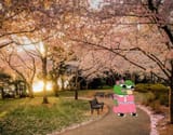 apu gf