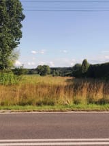 IMG_20250722_1755032