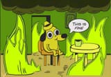 my swamp