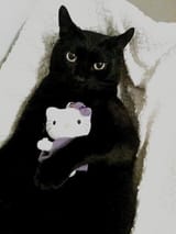 sanrio kitty