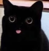 ;p